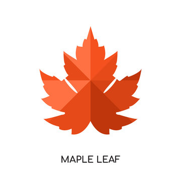 maple leaf logo vector icon isolated on white background, colorful brand sign & symbol for your business