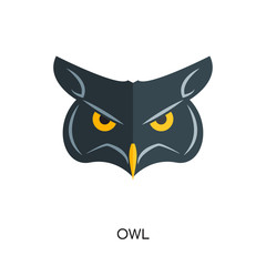 Obraz premium logo owl isolated on white background , colorful brand sign & symbol for your business