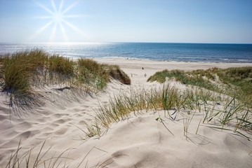Strandübergang zur Nordsee, Dänemark - 204638444