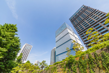 Fototapeta premium 新緑と東京のビル群