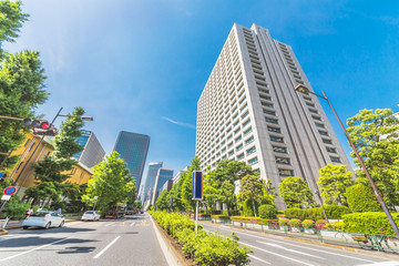Fototapeta na wymiar 新緑と東京のビル群