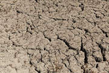 Cracked earth background texture. Abstract texture for background