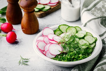 Obraz na płótnie Canvas Ingredients for summer salad. Slices of radish and cucumber, green onions and dill