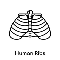 Human Ribs icon isolated on white background , black outline sign, linear modern symbol