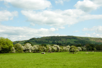 Fototapeta na wymiar Wye valley landscape in the summertime.