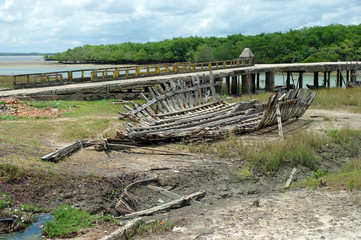 Squelette d'un ancien navire