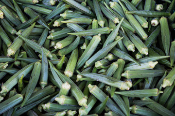 okra beans in green 