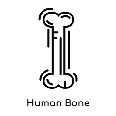 Human Bone icon isolated on white background , black outline sign, linear modern symbol