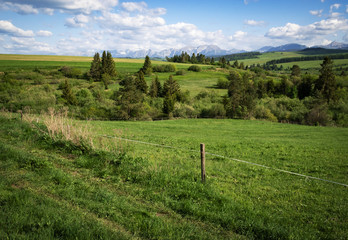 mountain scenery with meadows