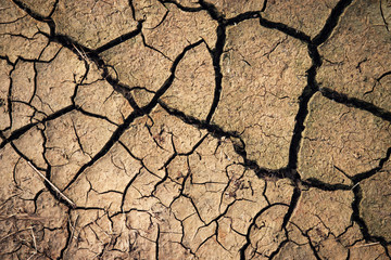 Detail of a clay path with a crack