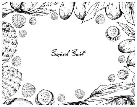 Hand Drawn Frame of Chinese Date and Copao Cactus Fruits