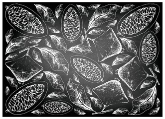 Hand Drawn of Cambuci and Banana Passionfruit on Chalkboard