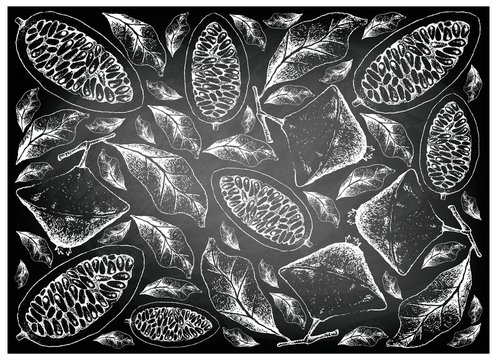 Hand Drawn of Cambuci and Banana Passionfruit on Chalkboard