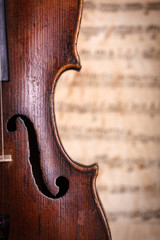 Violin waist detail