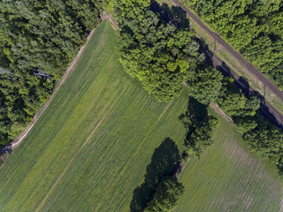 Green fields and forests. © Tomasz Warszewski