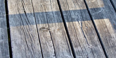 Photo of a beautiful gray wooden floor pattern