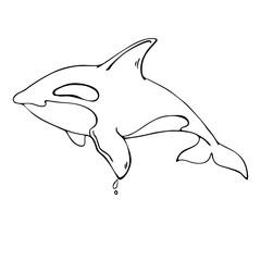Silhouette dolphin ink sketch. Hand drawn vector illustration.