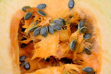 Pumpkin (Cucurbita pepo var. Oleifera) - healthy seeds no longer necessary to peel