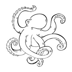 Octopus sketch drawn by ink. Hand drawn vector illustration.
