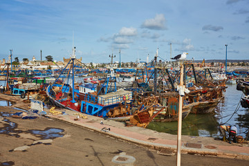 Port of Essaouira in Morocco with local fishing boats, seagulls and fishing nets on a sunny day