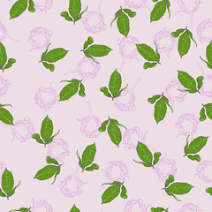 Seamless pattern with pink rose flowers and green leaves on pastel lilac background. Hand drawn vector ilustration.