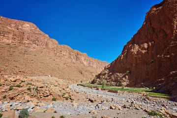 Fototapeta premium Todgha Gorge, a canyon in the High Atlas Mountains in Morocco
