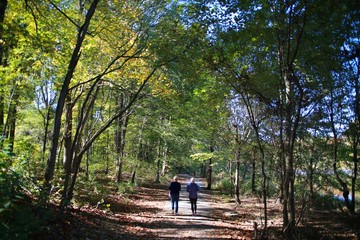 Mother and Daughter Walking Along a Dirt Trail into the Woods Under a Canopy of Green Trees in a Clear Day in Burke, Virginia