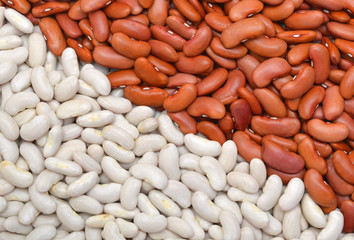 red beans and cannellini alubias on background