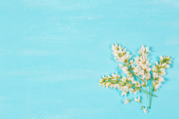 Fototapeta na wymiar Blue background with white flowers