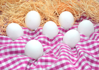 White chicken eggs on a checkered tablecloth