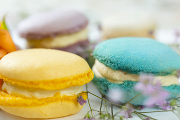 French cake macaron or macaroon. Colorful cookies made from almond flour in pastel colors
