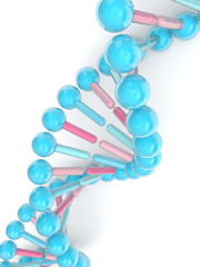 3d render of DNA chain over white