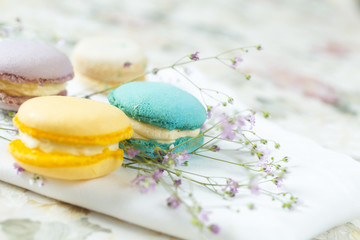 French cake macaron or macaroon. Colorful cookies made from almond flour in pastel colors
