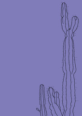 cactus illustration