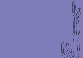 cactus illustration