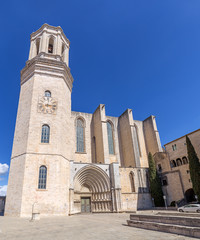 Fototapeta na wymiar View of Girona Cathedral. Catalonia.
