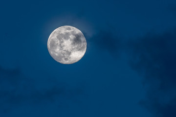 Naklejka na ściany i meble gorgeous full moon in a dark blue night sky gets covered by soft wispy dark clouds