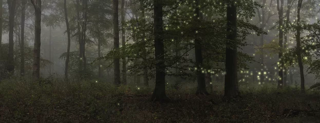Crédence de cuisine en verre imprimé Gris 2 Stunning fantasy style landscape image of fireflies in night time forest scene