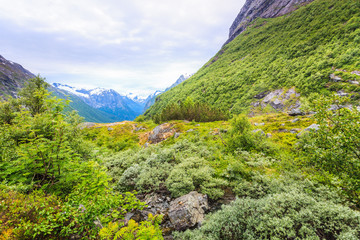 Fototapeta na wymiar Mountains summer landscape in Norway.