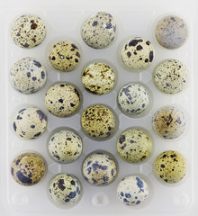 Quail eggs in transparent tray,plastic box for sale to client for cook at home, good idea for...