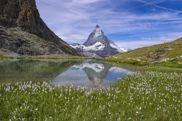Photo sur Plexiglas Cervin ZERMATT-Rifflsee-Matterhorn - Wollgrasblüte unterm Matterhorn