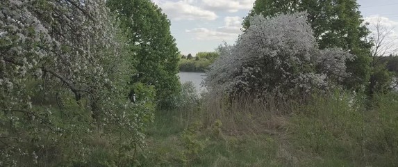 beautiful flight past the flowering trees and over the lake. landscape