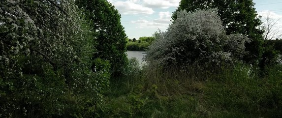 beautiful flight past the flowering trees and over the lake. landscape