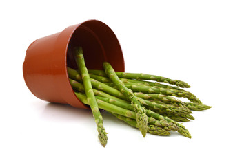 Fresh asparagus in red pot isolated on white