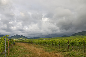 Fototapeta na wymiar Regenwolken über der Südpfalz