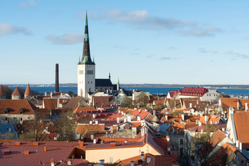 Fototapeta premium Tallinn. View of the old town