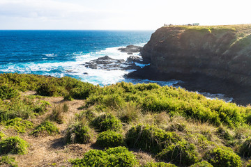 View to Southpoint lookout at the Nobbies, Phillip Island, Victoria, Australia