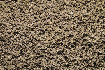 damp earth texture