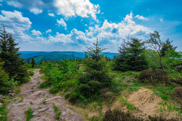 A nice, but also dangerous path in the Black Forest/Schwarzwald on a sunny and cloudy summer day; Germany 2018.