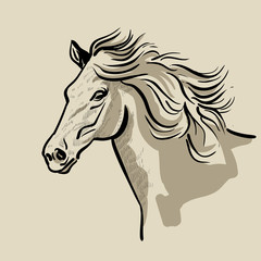 Horse head with a mane. Hand drawn vector illustration.